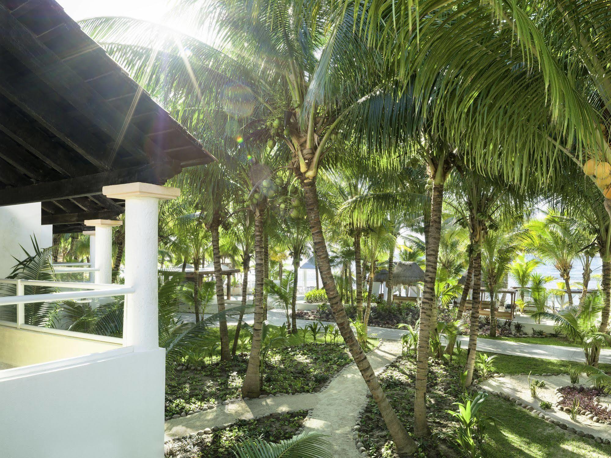 El Dorado Seaside Palms Adults Only Hotell Xetna Exteriör bild